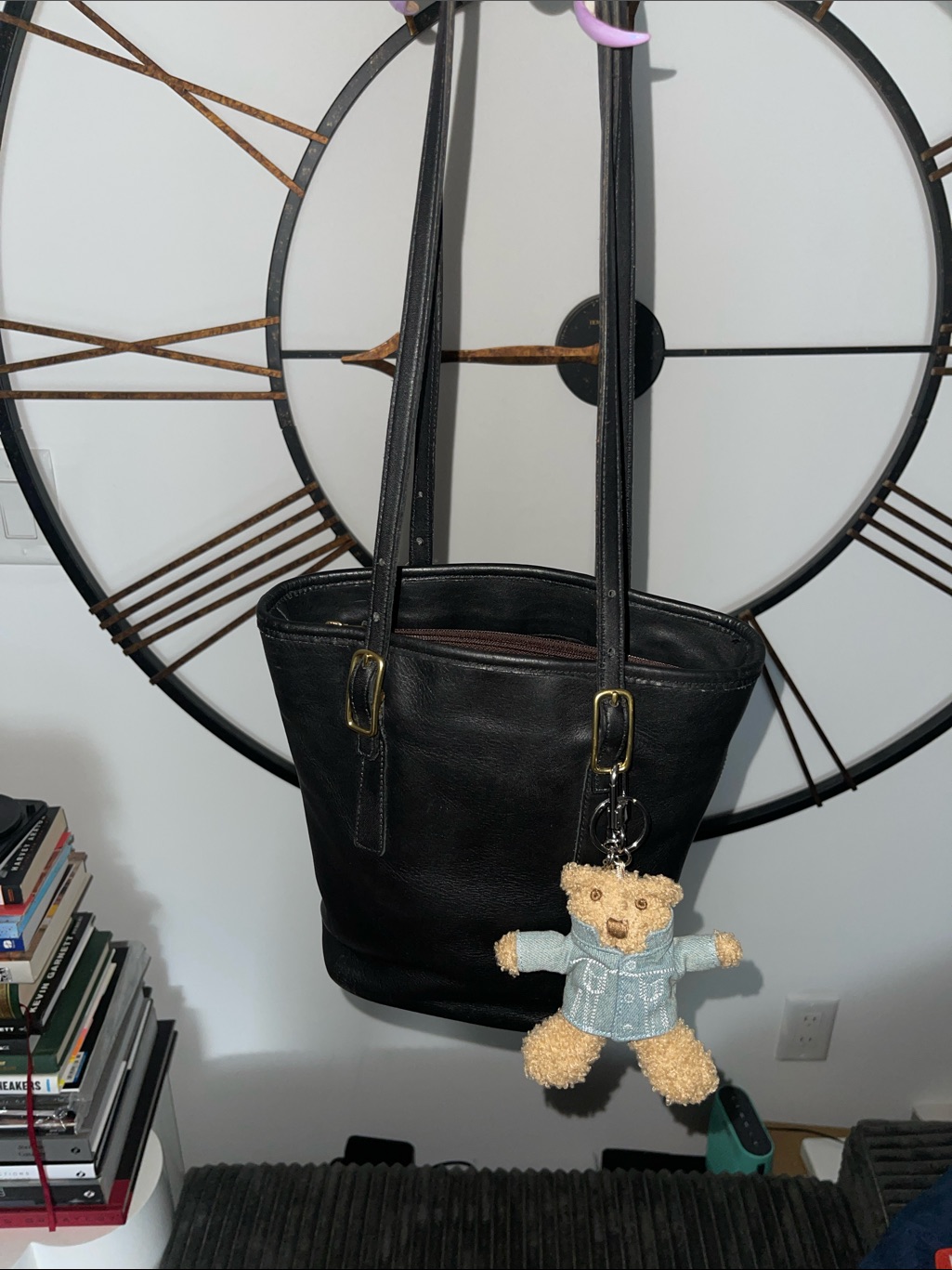 Coach Y2k Day Tote